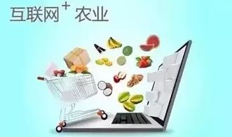 北京蓝狮,农业电商回归理性 2017之路如何前行